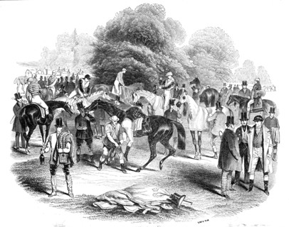 View of the Warren