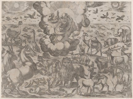 God Creating the Animals