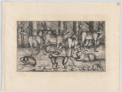 Stags in the Forest