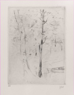 Landscape (Tree-trunks near a River)