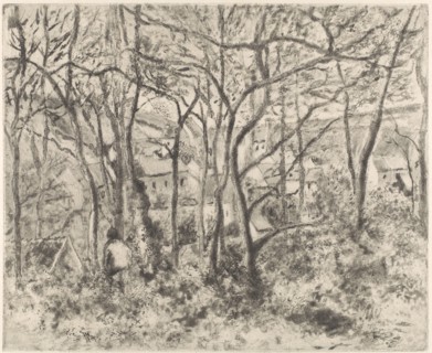 The Woods at L'Hermitage