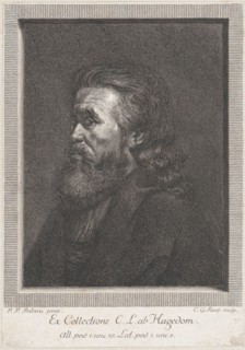 Portrait of an old man with a beard