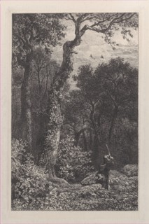 Shooting a Woodcock