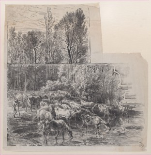 Herdsman and Cattle at Ford