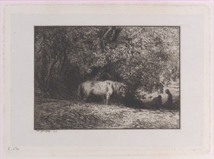 Horse Under a Tree Branch