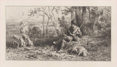 Small Pig Herd