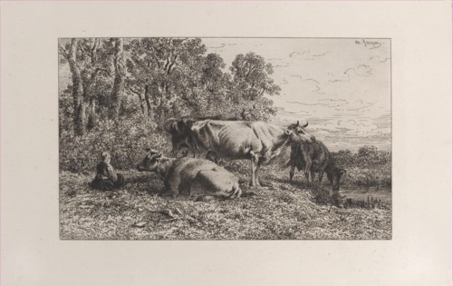 Dutch Cows