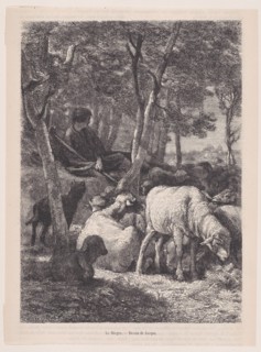 The Shepherd