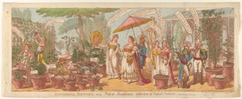 Imperial Botany - or a Peep at Josephine's Collection of English Exoticks