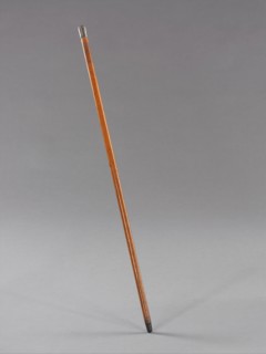 Cane, American, ca. 1883.