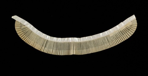 Collar, American, ca. 1870.