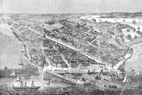 Great Meeting of the Royal Agricultural Society of England, the Town and Port of Southampton, 1844. Creator: Unknown.
