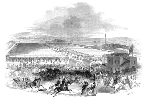 The Cattle Sheds, Royal Agricultural Society's Show, Shrewsbury, 1845. Creator: Smyth.