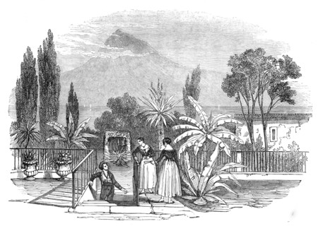 Garden in the Azores, 1845. Creator: Unknown.