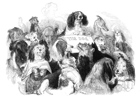 The Dog Bill Committee, drawn by T. Landseer, 1844. Creator: Thomas Landseer.