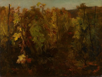 La Vigne [The Vine]