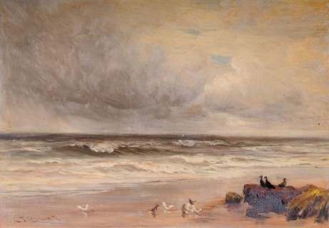 Sea Coast