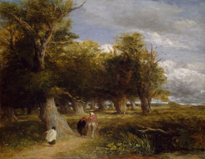The Skirts of the Forest
