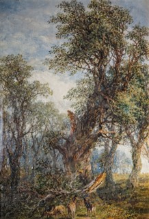 The Broken Bough