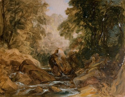 Mountain Stream and Rocks