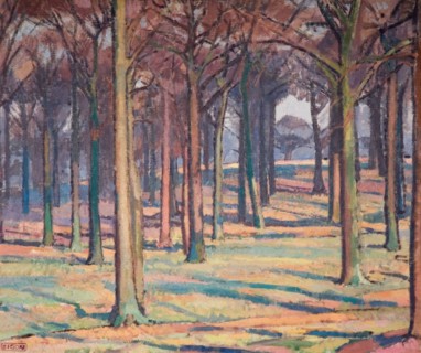 Wood in Richmond Park