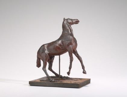 Horse Rearing