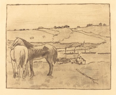 Horses in the Meadow