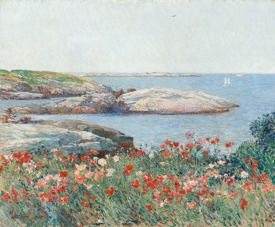 Poppies