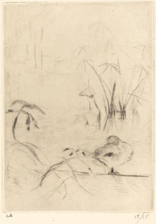Ducks at Rest on the Bank