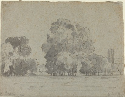 Grove of Trees