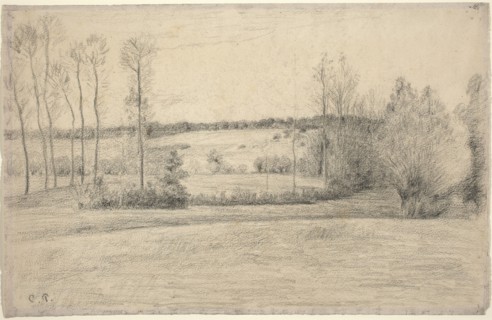 Trees and Meadows at Eragny