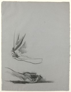 Studies of Hands