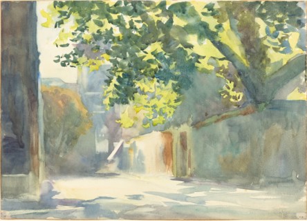 Sunlit Wall Under a Tree