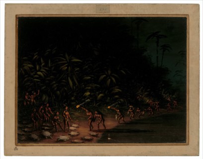 Turtle Hunt