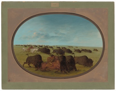 Buffalo Chase