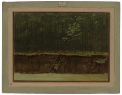 View of the Lower Mississippi