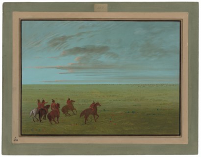Connibos Starting for Wild Horses