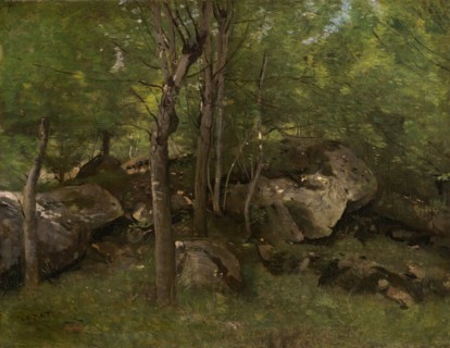 Rocks in the Forest of Fontainebleau