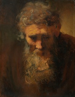 Study of an Old Man