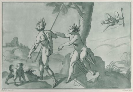 Venus and Adonis