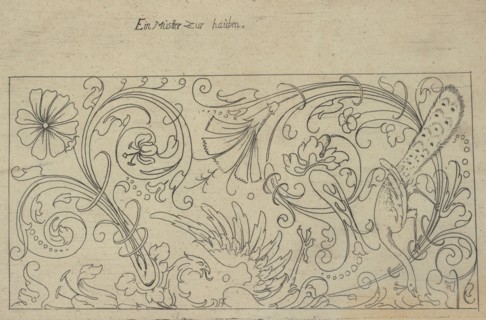 New Modelbüch