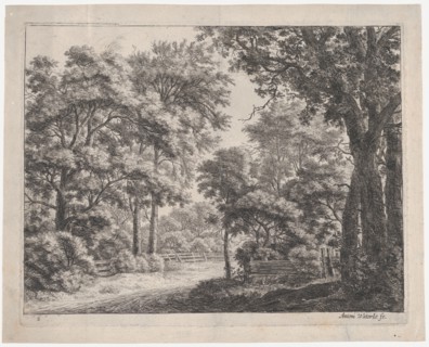 The Trimmed Groves