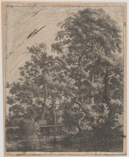 A Small Bridge over a Stream