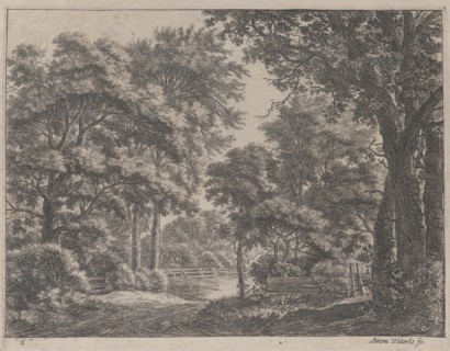 The Trimmed Groves