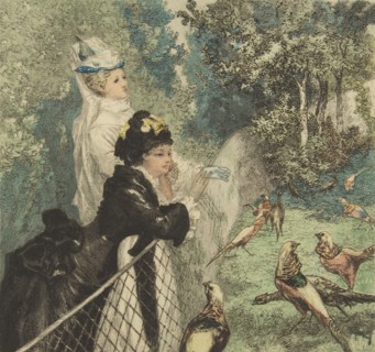 In the Zoological Garden