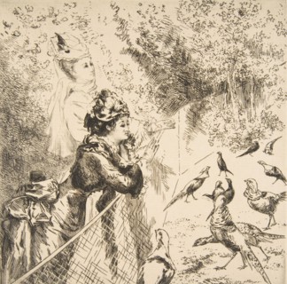 In the Zoological Garden