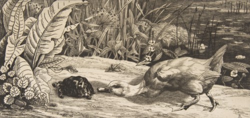 L'Inconnu