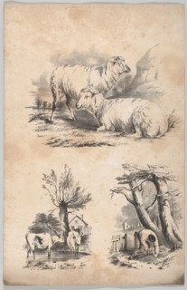 Vignette with two sheep