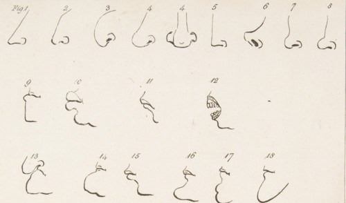 Plate II