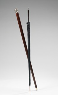 Cane